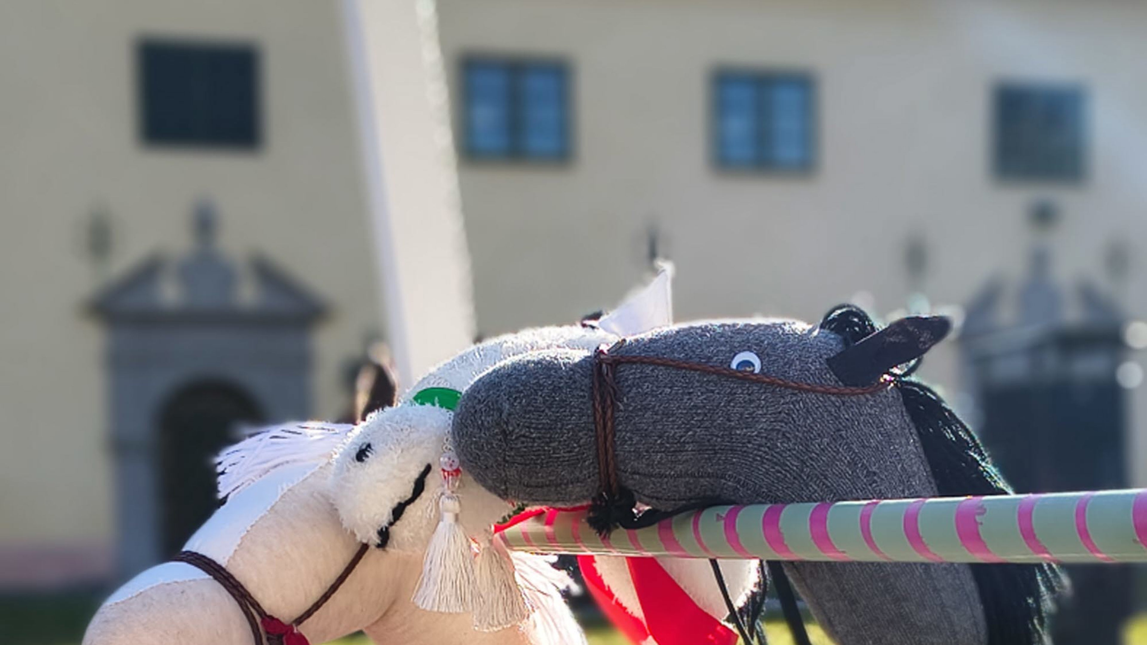 Käpphästar utanför Löfstad slott.