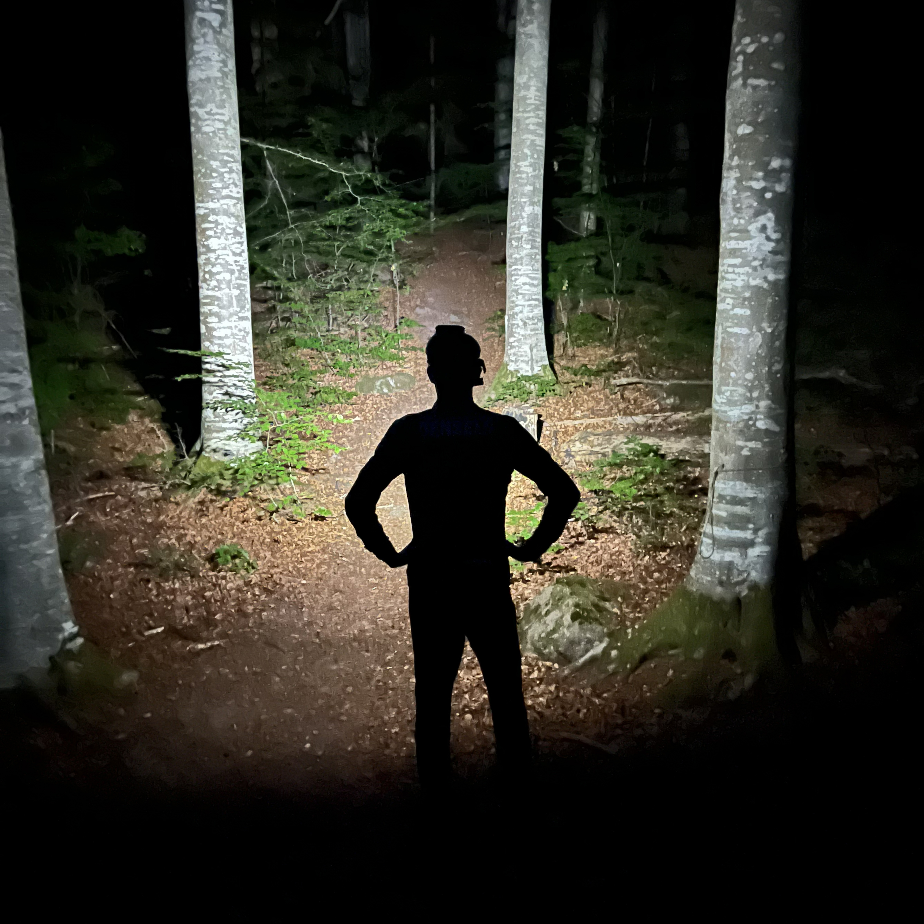 Löfstad Slott Trail blir startskottet på höstlovet på Löfstad.
