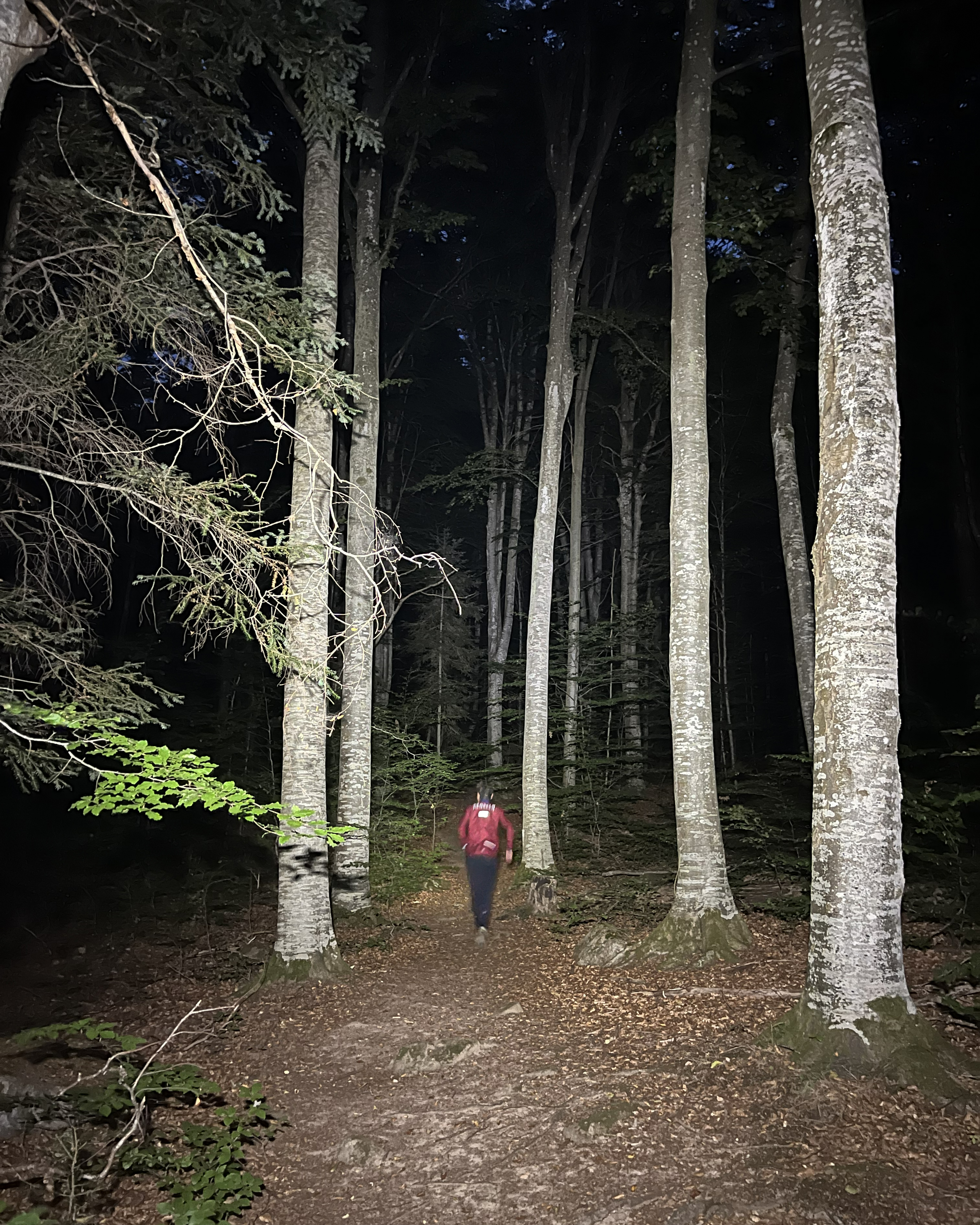 Löfstad Slott Trail blir startskottet på höstlovet på Löfstad.