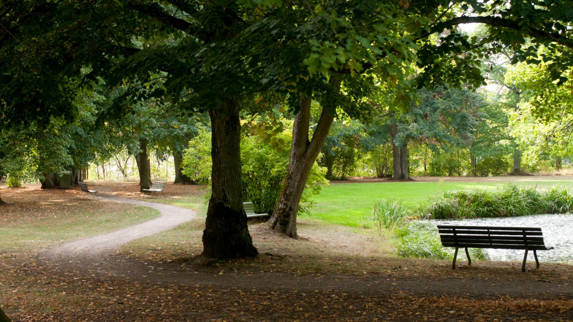 Vy från parken, Löfstad slott 
