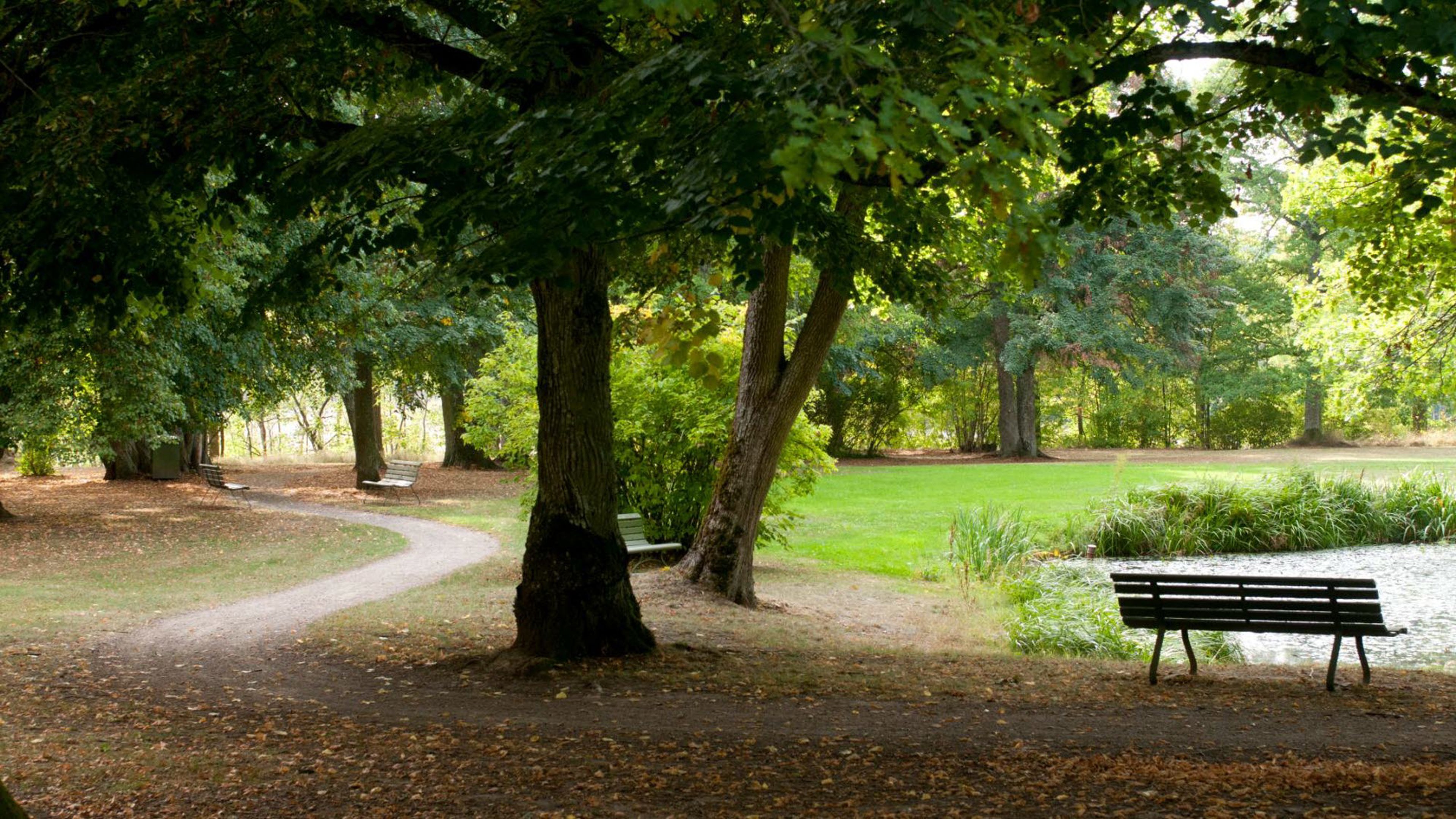 Vy från parken, Löfstad slott