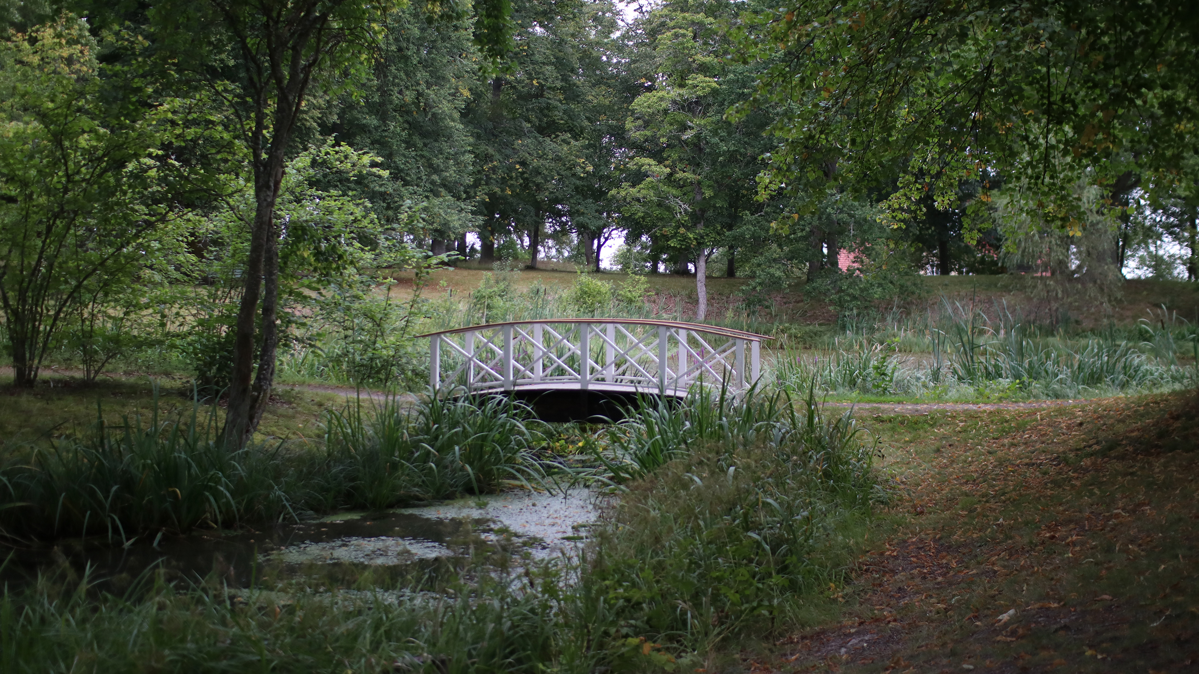 Bro i den engelska parken på Löfstad slott.