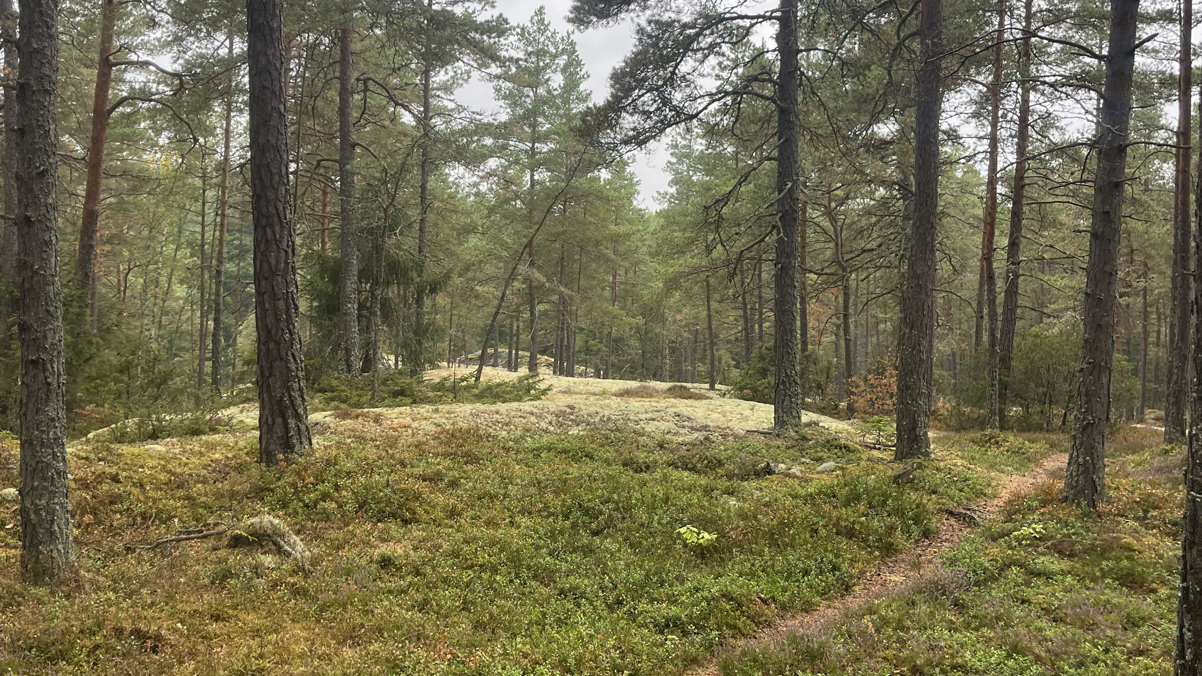Löfstad Slott Trail blir startskottet på höstlovet på Löfstad.